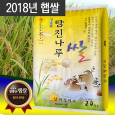 땅끝마을 장흥 당일도정 남외정미소 쌀 찹쌀 현미 오분도미 20kg, 1개, 쌀20kg