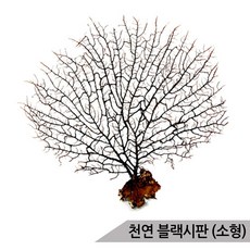 1b08747b-7a66-4518-a3ac-2d4b2fc20bbf.jpg