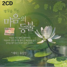 일일요가명상서울