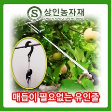 e0160509-a4b5-4bdb-8eda-b07a2ee9c600.jpg