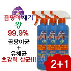 곰팡이균제거젯소