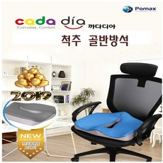 펠빅쿠션