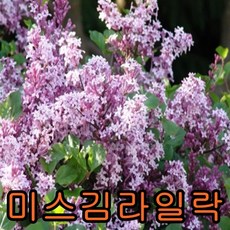 a612929a-a911-44d2-8942-a5d05488ba73.jpg