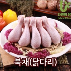 닭북채