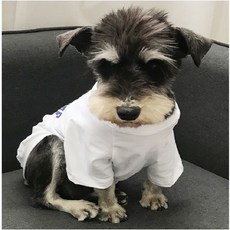 볼독 강아지고양이 여름티셔츠 커플옷, 화이트, 1개