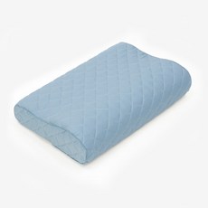 이블랑 순면 라텍스 베개커버, 스카이민트