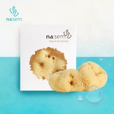 //상품명