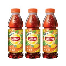 아이스캔