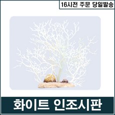 GTS 화이트 인조시판