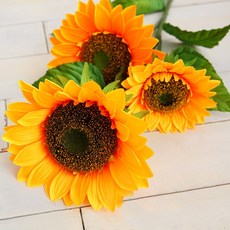 자이언트플라워해바라기