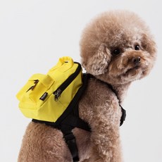 스니프워싱스퀘어