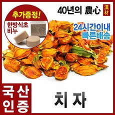 장구1자9치
