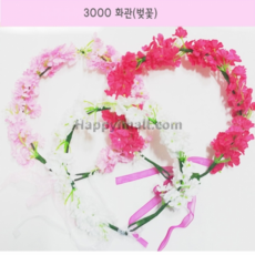 팬싸화관