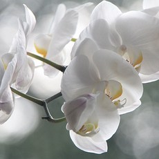 안경닦이제작