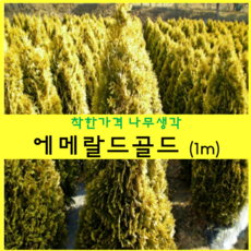 466a33f5-48e6-4f77-90ec-436206b0d705.png