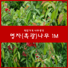 f810bcf6-e27d-41c7-9e00-81bb3def6eef.png