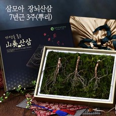 [삼모아농장] [삼모아] 장뇌산삼(산양산삼) 7년근 3뿌리(건강사랑세트), 1세트, 상세 설명 참조