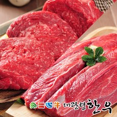 [평창영월정선축협] 대관령한우 1등급이상 불고기/장조림 각400g, 1개