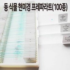 현미경프레파라트