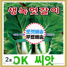 배추모종 TOP01