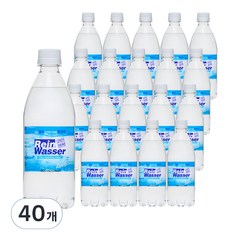 라인바싸 플레인 탄산수, 500ml, 40개