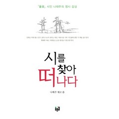 시를 찾아 떠나다:풀꽃 시인 나태주의 명시 감상, 푸른길, 나태주 저