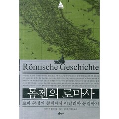 몸젠의 로마사 2:로마 왕정의 철폐에서 이탈리아 통일까지, 푸른역사