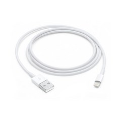 Apple 정품 Lightning-USB 충전 케이블, Lightning, USB, 1m