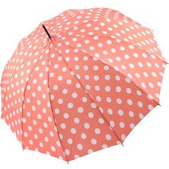 피에르가르뎅 버블 자동 장우산