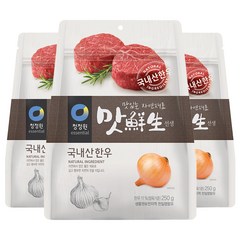 청정원 맛선생 국내산한우, 250g, 3개