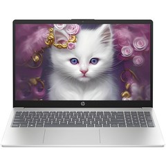 HP 2023 노트북 15, Natural Silver, 라이젠5, 512GB, 16GB, Free DOS, 15-fc0065AU