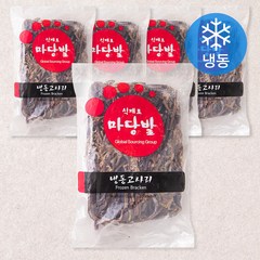 마당발 고사리 (냉동), 1kg, 5개