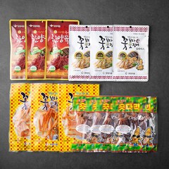 한양식품 한양육포 25g x 3p + 오징어 숏다리 20g x 5p + 꽃보다오징어 매코미 35g x 3p + 꽃보다오징어 슬라이스 15g x 3p, 1세트