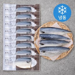 비비수산 장현웅 제주에서 잡은 고등어살, 1kg, 1개