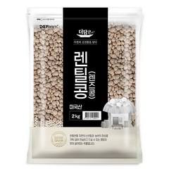 더담은 미국산 렌틸콩 렌즈콩, 2kg, 1개