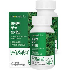 내츄럴플러스 혈행엔 징코 브레인 45g, 90정, 2개