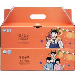 푸릇담 젊은농부 도라지배즙 30p, 3L, 2개