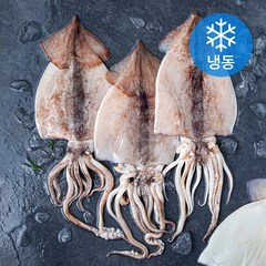 오바다 국내산 손질 오징어 4미 (냉동), 700g(4미), 1개