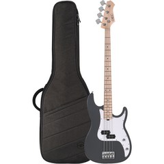 헥스 입문용 베이스 기타, R100M S/SG, SLATE GLAY