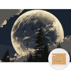 아트조이 DIY 명화그리기 30 x 40 cm, 달 밝은 밤