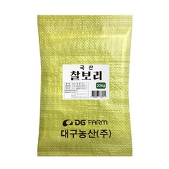 건강한밥상 2023년산 햇곡 국산 찰보리쌀, 20kg, 1개