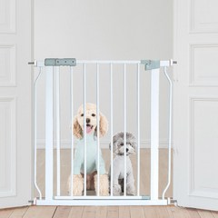 강아지안전문