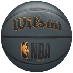 윌슨 NBA FORGE 플러스 농구공 WTB810, WTB8101XB07