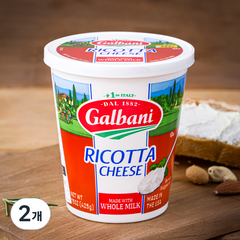 갈바니 리코타 홀밀크 치즈, 425g, 2개