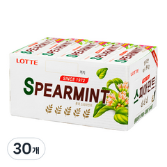 롯데제과 스피아민트 껌, 26g, 30개