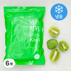 키위 (냉동), 1kg, 6개