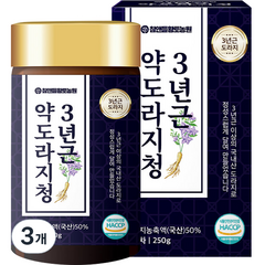 참앤들황토농원 3년근 약도라지청, 3개, 250g