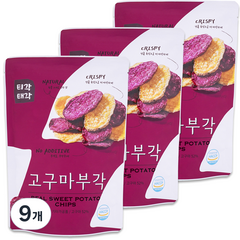 속초 티각태각 고구마부각 랜덤발송, 60g, 9개