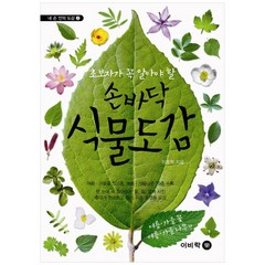 손바닥 식물도감: 여름 가을꽃 여름 가을나무편, 이비컴, 이동혁