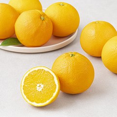다조은 호주 네이블 오렌지, 1팩, 2kg(9~11입)